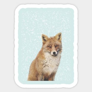 Arctic Snow Red Fox Sticker